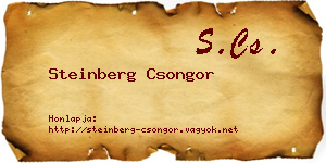 Steinberg Csongor névjegykártya